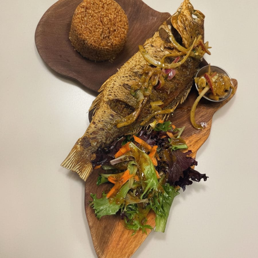 Red Snapper